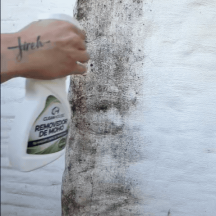 CLEANHOUSE Removedor de Moho | Paredes más limpias, frescas y protegidas en minutos.